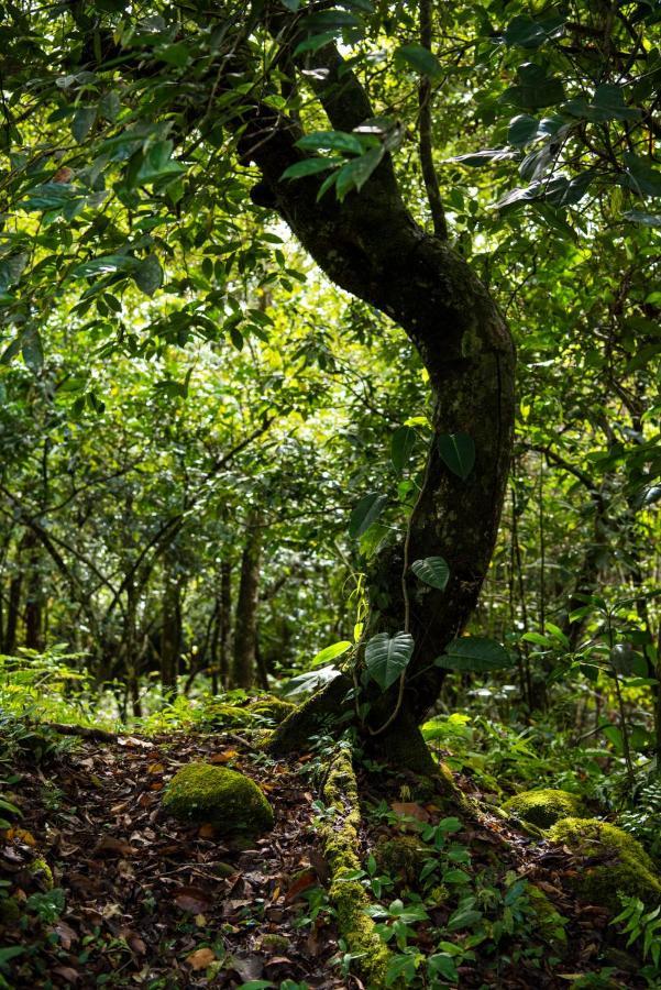 Dolega Wanakaset Panama 빌라 외부 사진